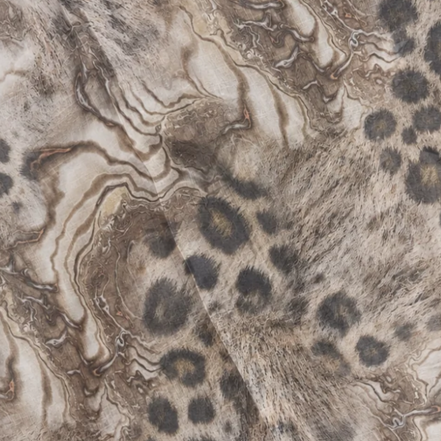 Modal Printed Lawn