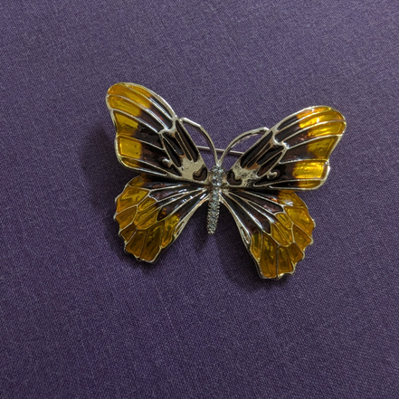 Fancy Brouch Pin